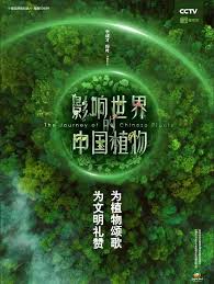 浴血护镖 封面图