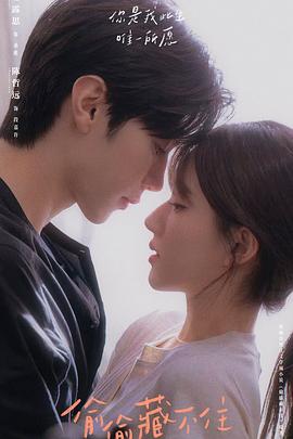 共谋骗局 封面图